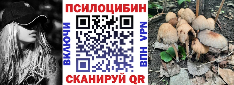 Галлюциногенные грибы Psilocybe  Купить где  Ноябрьск 